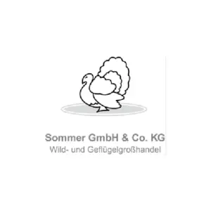 Sommer GmbH & Co. KG