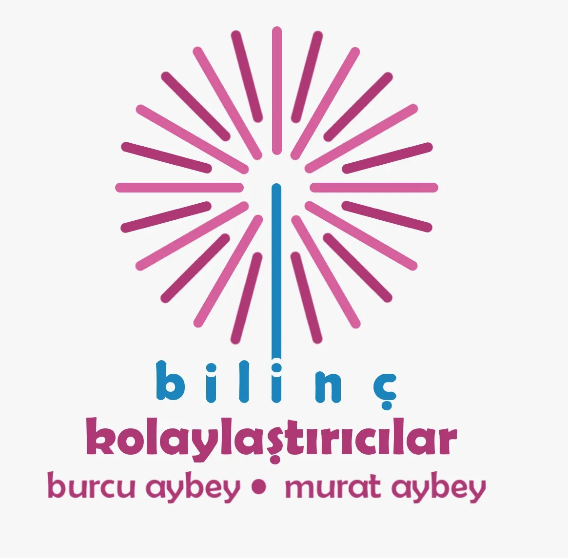 Burcu Aybey Bilinc Kolaylastiricilar Gelisim Egitimleri A.S