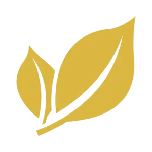 Privatpraxis Dermatologie-Wilmersdorf